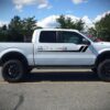 Decal Graphic Vinyl Ford F150 Series 2009-2017