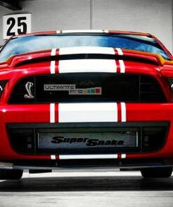 Decal Sticker Graphic Front to Back Stripe Kit Ford Mustang GT 2005-2014 Shelby GT500