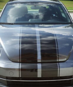 Full Stripe Kit Sticker Decal Graphic Compatible with VW BEETLE A5 R 2012-2016