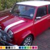 Hood Decal Sticker Graphic Compatible with Mini Classic