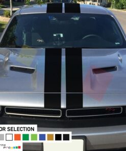 Decal Sticker For Dodge Challenger Full Body RT SRT 2008 - Present