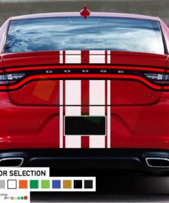 Front to back Stripe Kit Decal For Dodge Charger SRT 2011 - Present