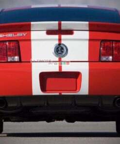 Decal Graphic Sticker Stripe Body Kit Ford Mustang Shelby GT500