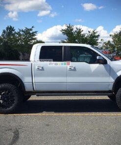 Decal Graphic Vinyl Upper Door rear bed Stripe Kit Ford F150 Series 2009-2017