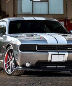 Decal Sticker Graphic Front to Back Stripe Kit Dodge Challenger SRT8 RT SE Rallye