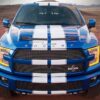 Decal Sticker Vinyl Body Racing Stripe Kit Ford F150 SVT Raptor Shelby