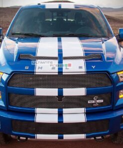 Decal Sticker Vinyl Body Racing Stripe Kit Ford F150 SVT Raptor Shelby