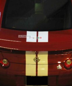 Set of Racing FULL Stripes Decal Sticker Graphic Nissan GT-R R35 Nismo