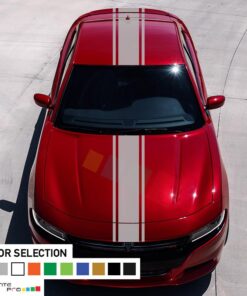 Decal Sticker Full Body Stripe Kit For Dodge Charger SRT 2011 - Present