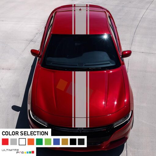 Decal Sticker Full Body Stripe Kit For Dodge Charger SRT 2011 - Present