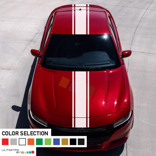 Decal Sticker Full Body Stripe Kit For Dodge Charger SRT 2011 - Present