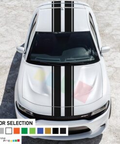 Decal Vinyl Body Stripe Kit For Dodge Charger SRT RT 2011 - Present