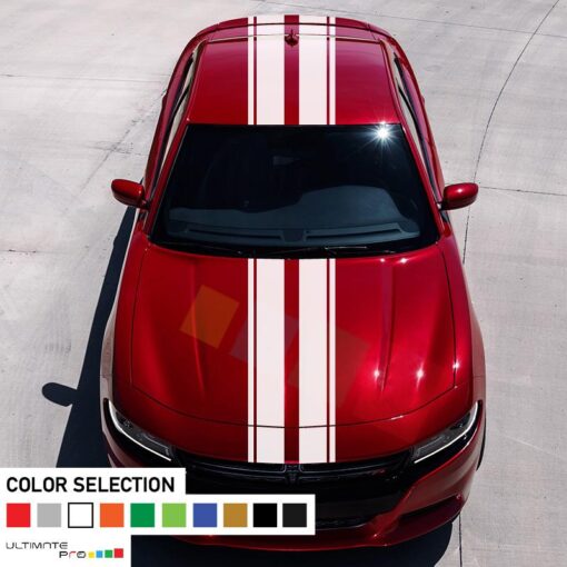 Decal Vinyl Body Stripe Kit For Dodge Charger SRT RT 2011 - Present