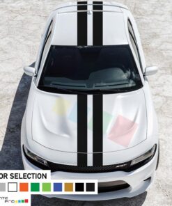 Decal Sticker Full Body Stripe Kit For Dodge Charger SRT 2011 - Present