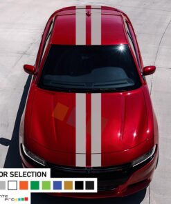 Decal Sticker Full Body Stripe Kit For Dodge Charger SRT 2011 - Present