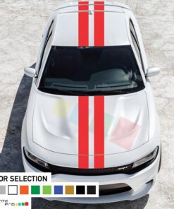 Decal Sticker Full Body Stripe Kit For Dodge Charger SRT 2011 - Present