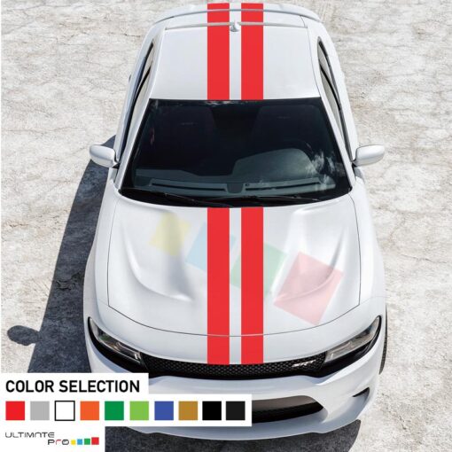 Decal Sticker Full Body Stripe Kit For Dodge Charger SRT 2011 - Present