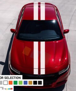 Decal Sticker Full Body Stripe Kit For Dodge Charger SRT 2011 - Present