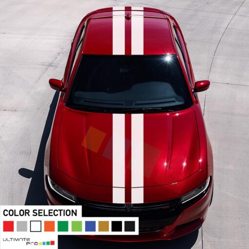 Decal Sticker Full Body Stripe Kit For Dodge Charger SRT 2011 - Present